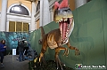 VBS_0935 - Dinosauri. Terra dei giganti